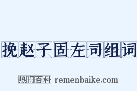 挽赵子固左司组词是什么意思的图片